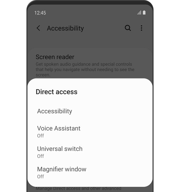 An image of the direct access pop-up menu. It shows 'Accessibility', 'Voice Assistant', 'Universal switch' and 'Magnifier window' on the list.