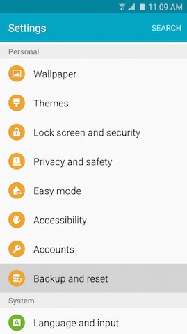 Backup and Reset