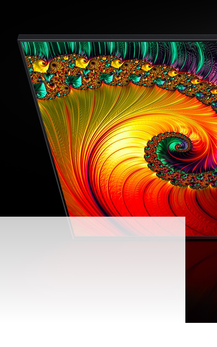 A QLED TV is displaying a multicolored conch shell in high resolution picture quality.