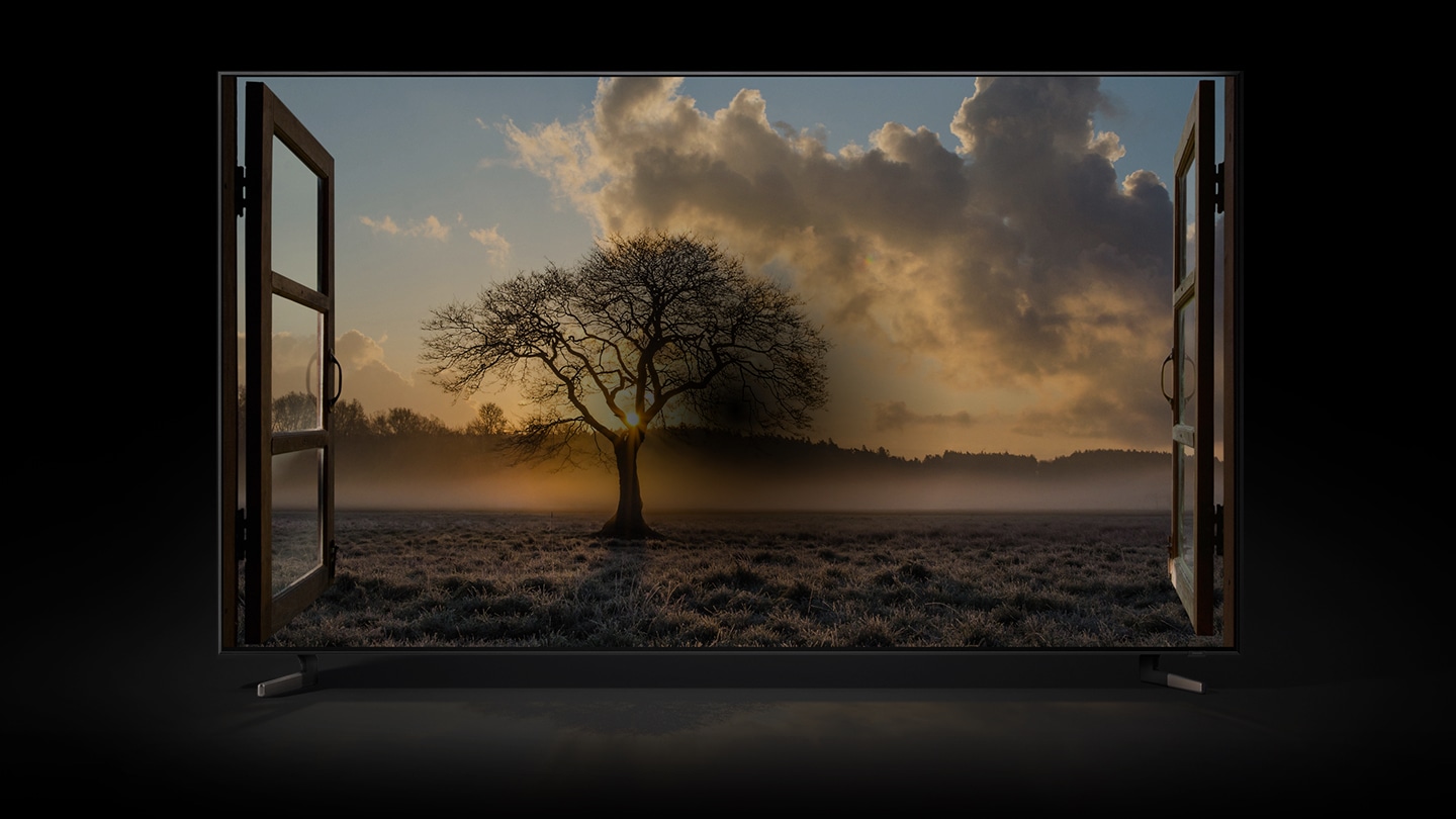 El televisor QLED 8K que incluye una nueva tecnología de televisor y una pantalla grande de hasta 85 in exhibe la realidad de la naturaleza.