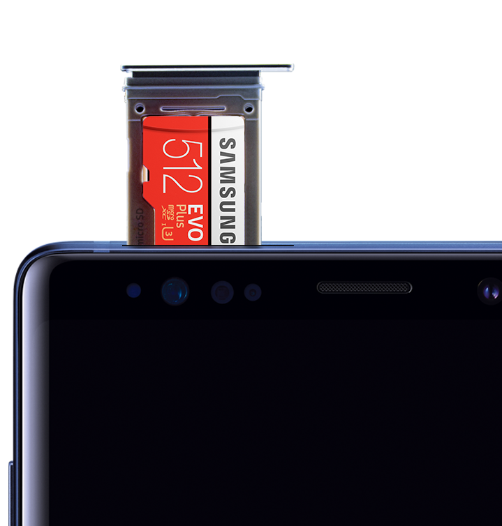 microSD EVO Plus 256GB