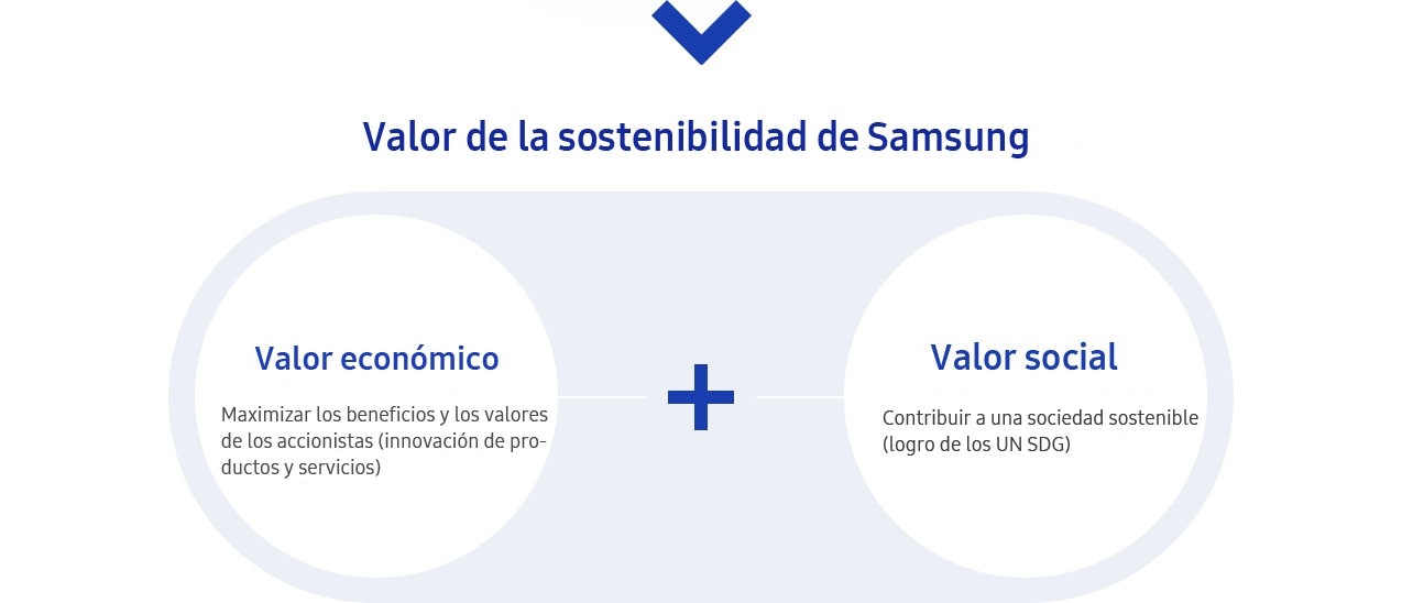 Value of Sustainability Management