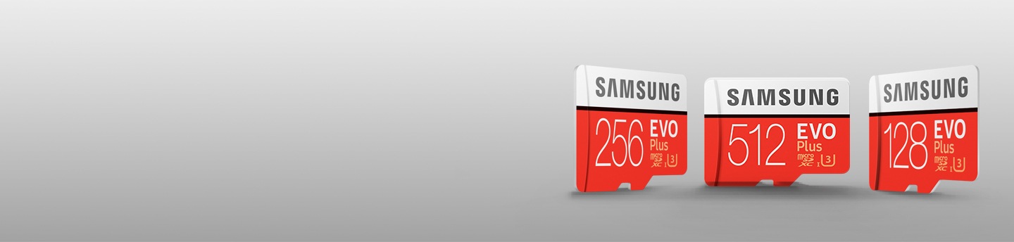 Memory Cards