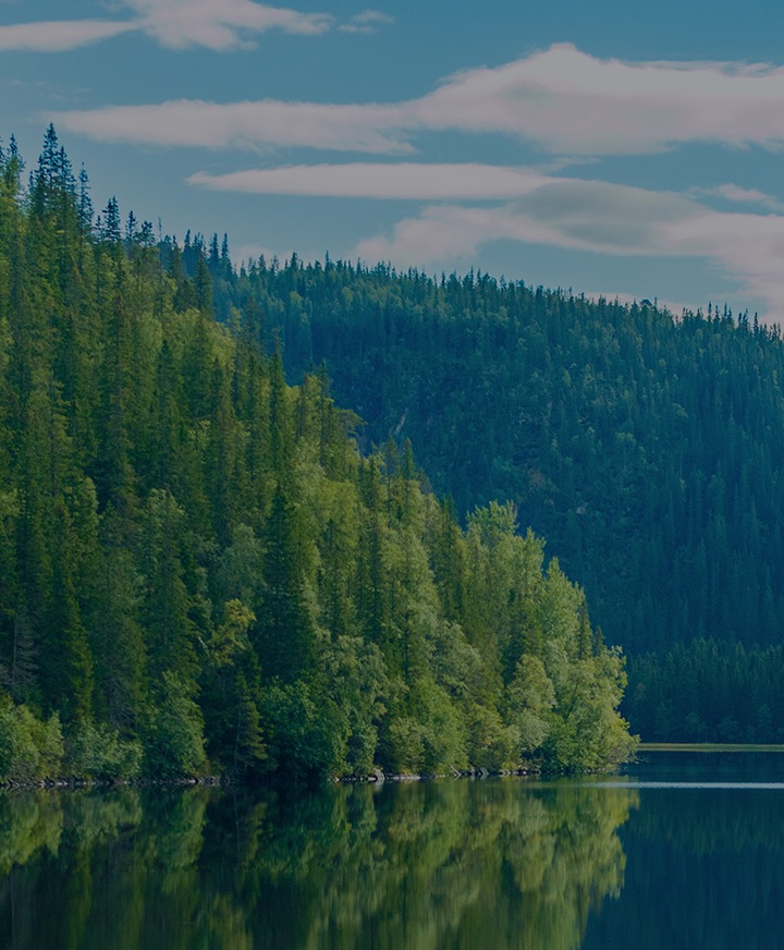 Ključni prikaz strane Klimatske promene