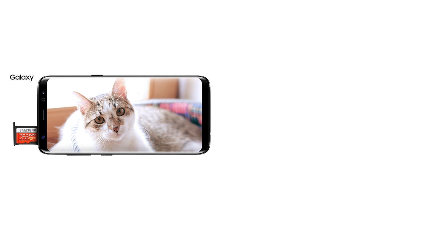 Prednja strana Galaxy S8 Ponoćno crna dok slikaš mačku sa proširenom memorijom od 256GB i kada slikaš mačku u mraku uz poruku „Nije moguće slikati - nema dovoljno memorije”.