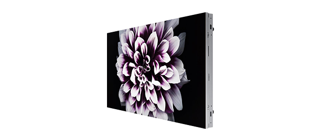 An angled shot of the IW008J model cabinet displaying a picture of a white and purple flower in a black background.