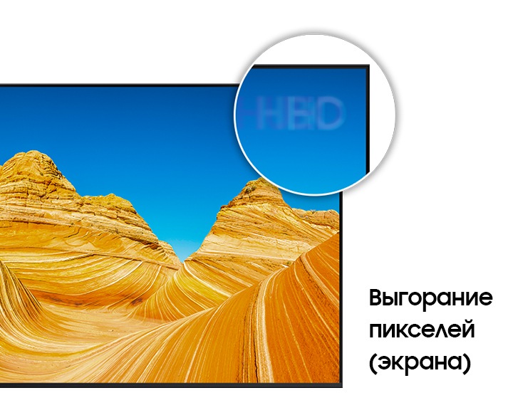 qled или oled что лучше