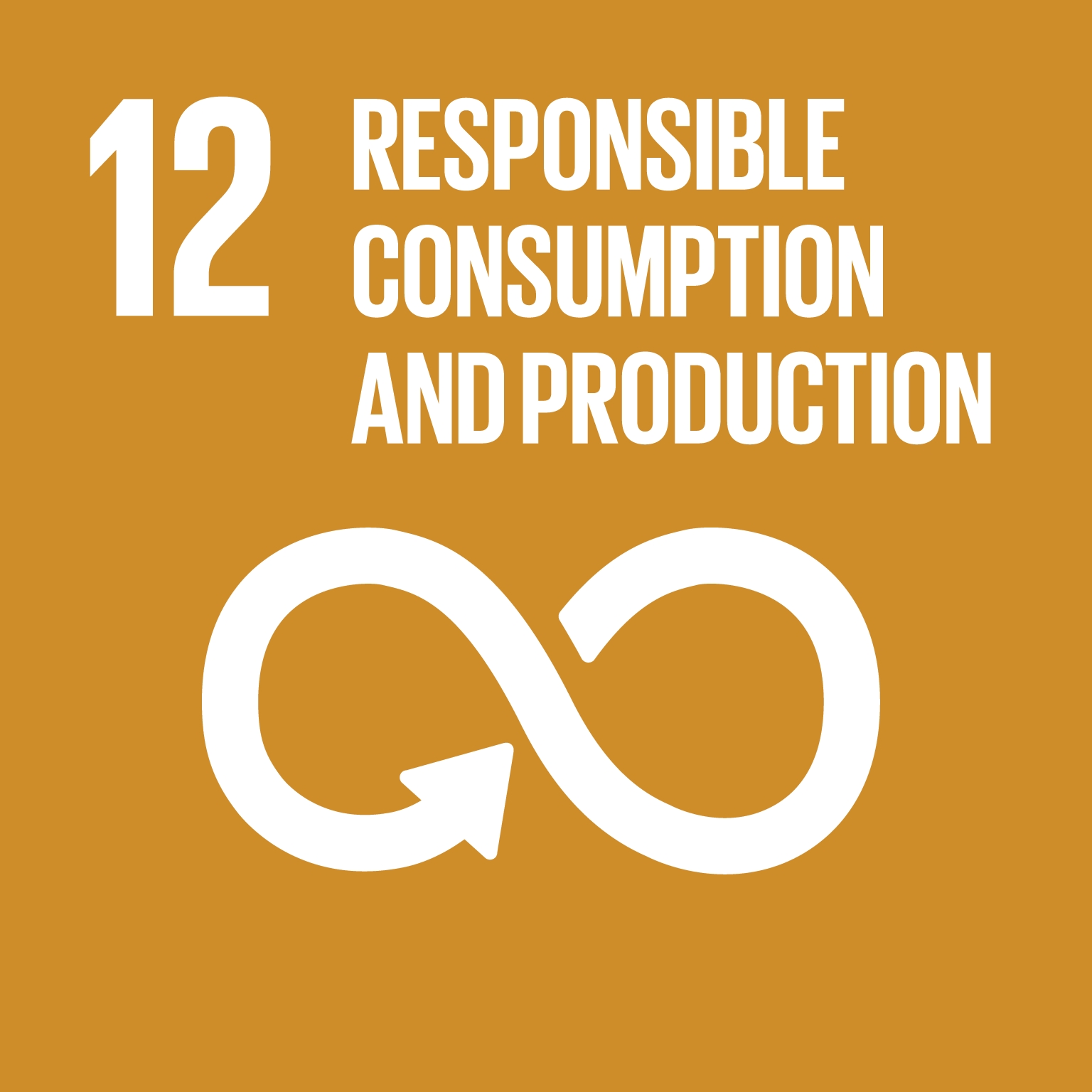 12 RESPONSBLE CONSUMPTION AND PRODUCTION