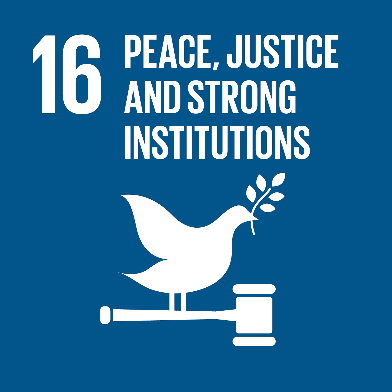 16 PEACE, JUSTICE ASND STRONG INSTITUIONS