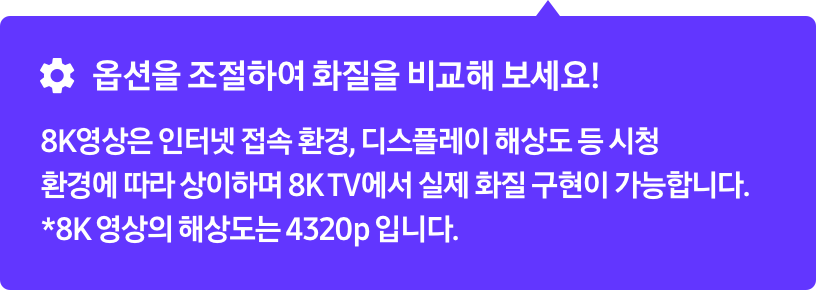 옵션을 조절하여 화질을 비교해 보세요! 8K영상은 인터넷 접속 환경, 디스플레이 해상도 등 시청 환경에 따라 상이하며 8K TV에서만 실제 화질 구현이 가능합니다. *8K 영상의 해상도는 4320p 입니다.