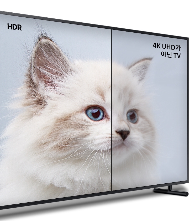 The Frame displaying a photograph of a cat, comparing HDR to Samsung Conventional HDR.