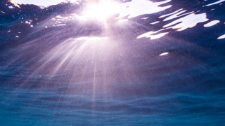 Underwater view of sun's rays shining through the surface.