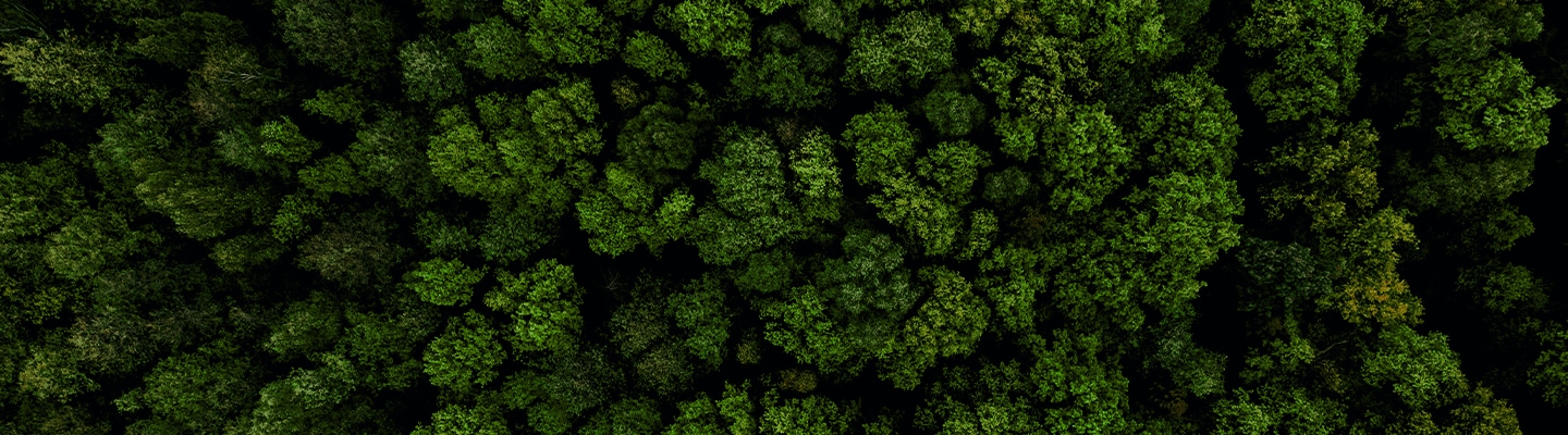 A key visual image of Eco-management page
