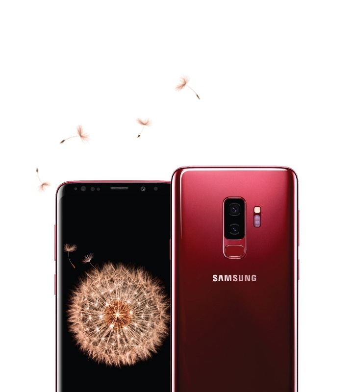 Galaxy S9+ seen from the front and the rear in Burgundy Red. Displayed on Galaxy S9+ is dandelion seeds.