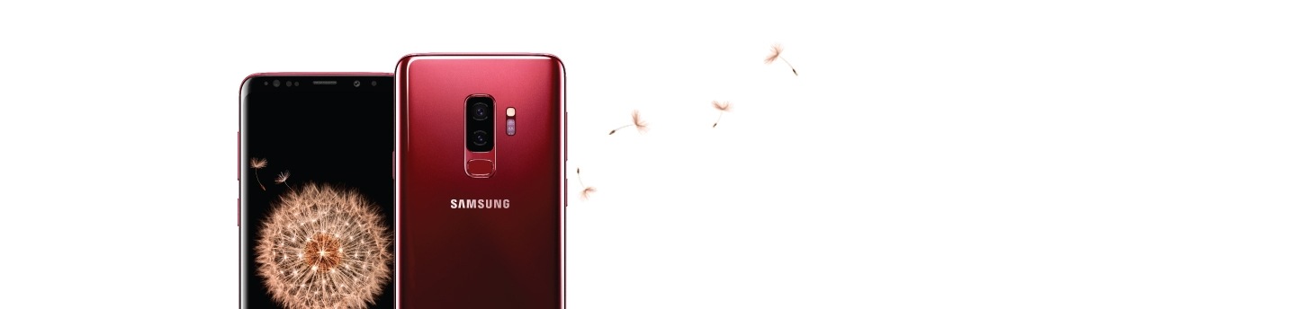 Galaxy S9+ seen from the front and the rear in Burgundy Red. Displayed on Galaxy S9+ is dandelion seeds.