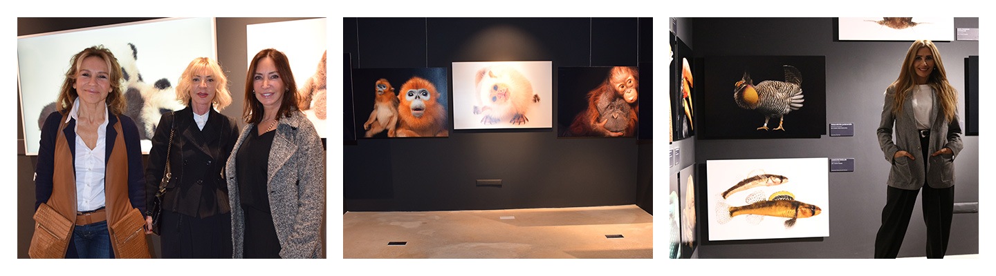 National Geographic Sergisi Photo Ark Özel Bir Davet ile Ziyaretçilerle Buluştu! National Geographic Sergisi Photo Ark Özel Bir Davet ile Ziyaretçilerle Buluştu!
