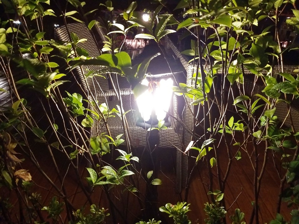 至於較昏暗的場景或是夜拍部份,有著 F1.7 大光圈的加持下,還是有非常不錯的表現。 至於較昏暗的場景或是夜拍部份,有著 F1.7 大光圈的加持下,還是有非常不錯的表現。