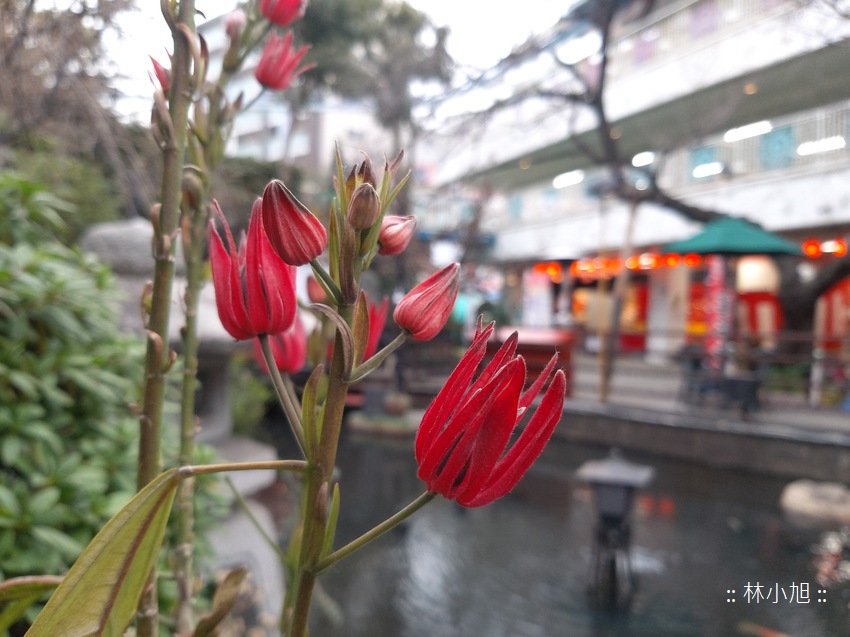 圖:Galaxy A8s 圖:Galaxy A8s