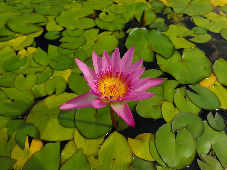 清新脫俗 清新脫俗