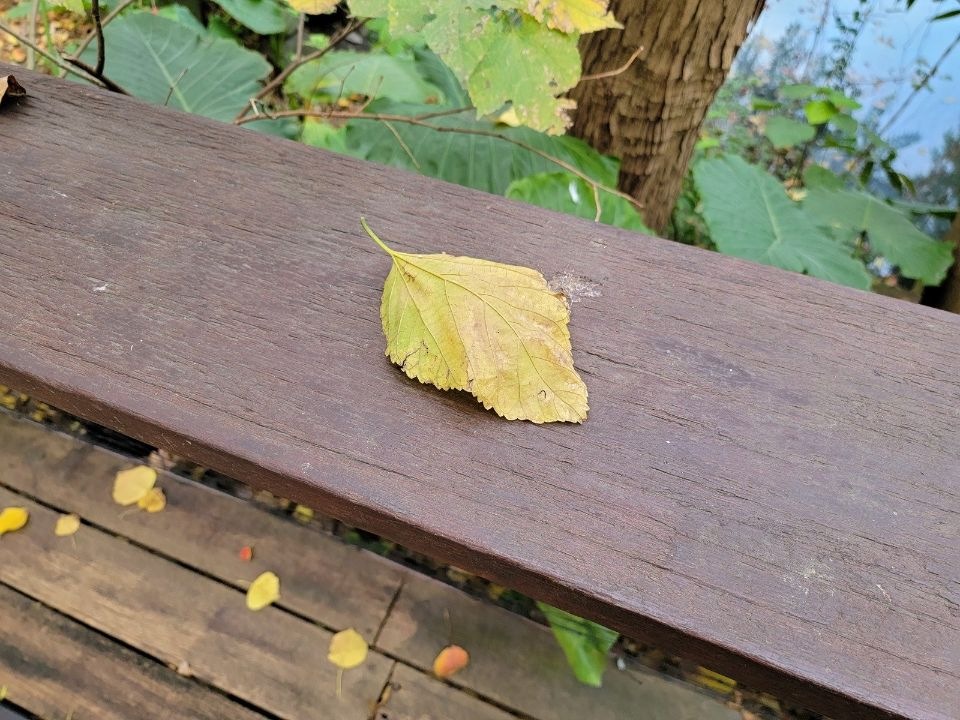 實拍照片 實拍照片