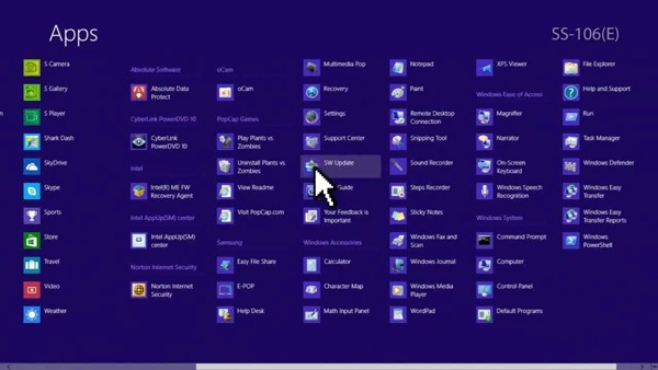 執行"Smasung"分類中的"SW Update"