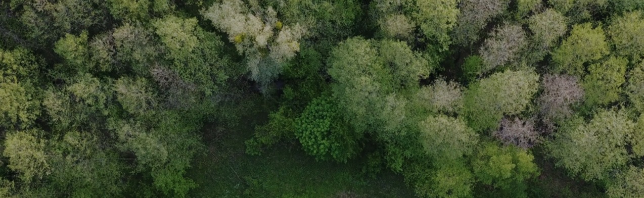 Основний візуальний образ сторінки «Зміни клімату»