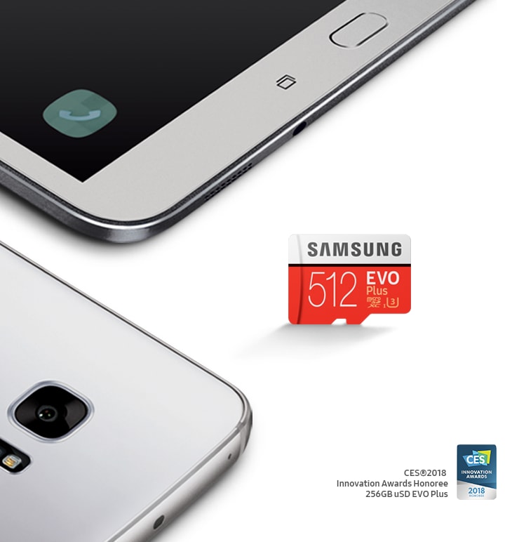 Memory Cards - Memory card microSD EVO Plus 256GB