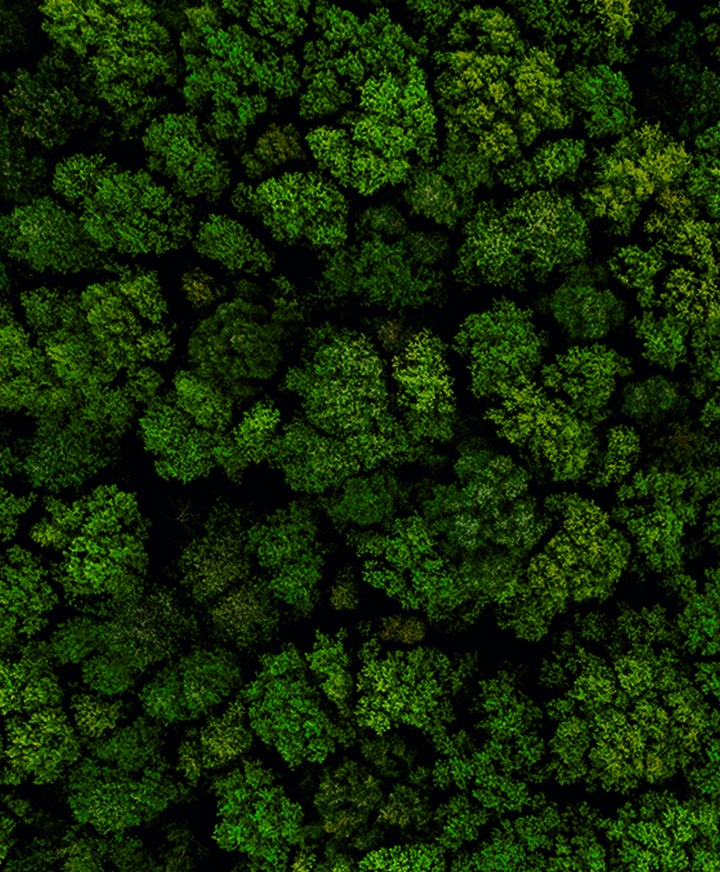 A key visual image of Eco-management page