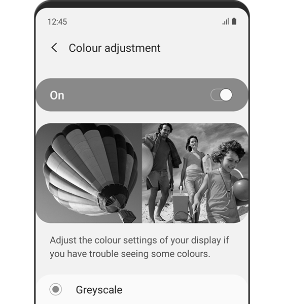 The 'Colour Adjustment' menu is displayed. Colour Adjustment is turned 'on' and Greyscale is selected. The description text reads: Adjust the colour settings of your display if you have trouble seeing some colours.