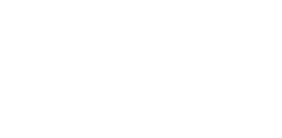 Free Next Day Delivery Icon