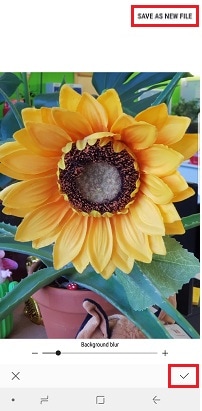 Using Live focus
