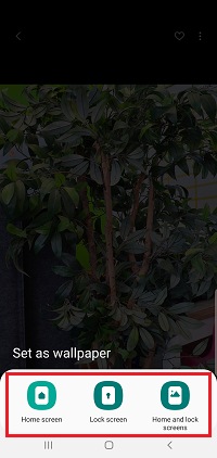 How do I change the wallpaper on my Samsung Galaxy smartphone?