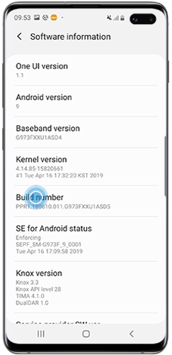 Tap Build number seven times on Galaxy S10