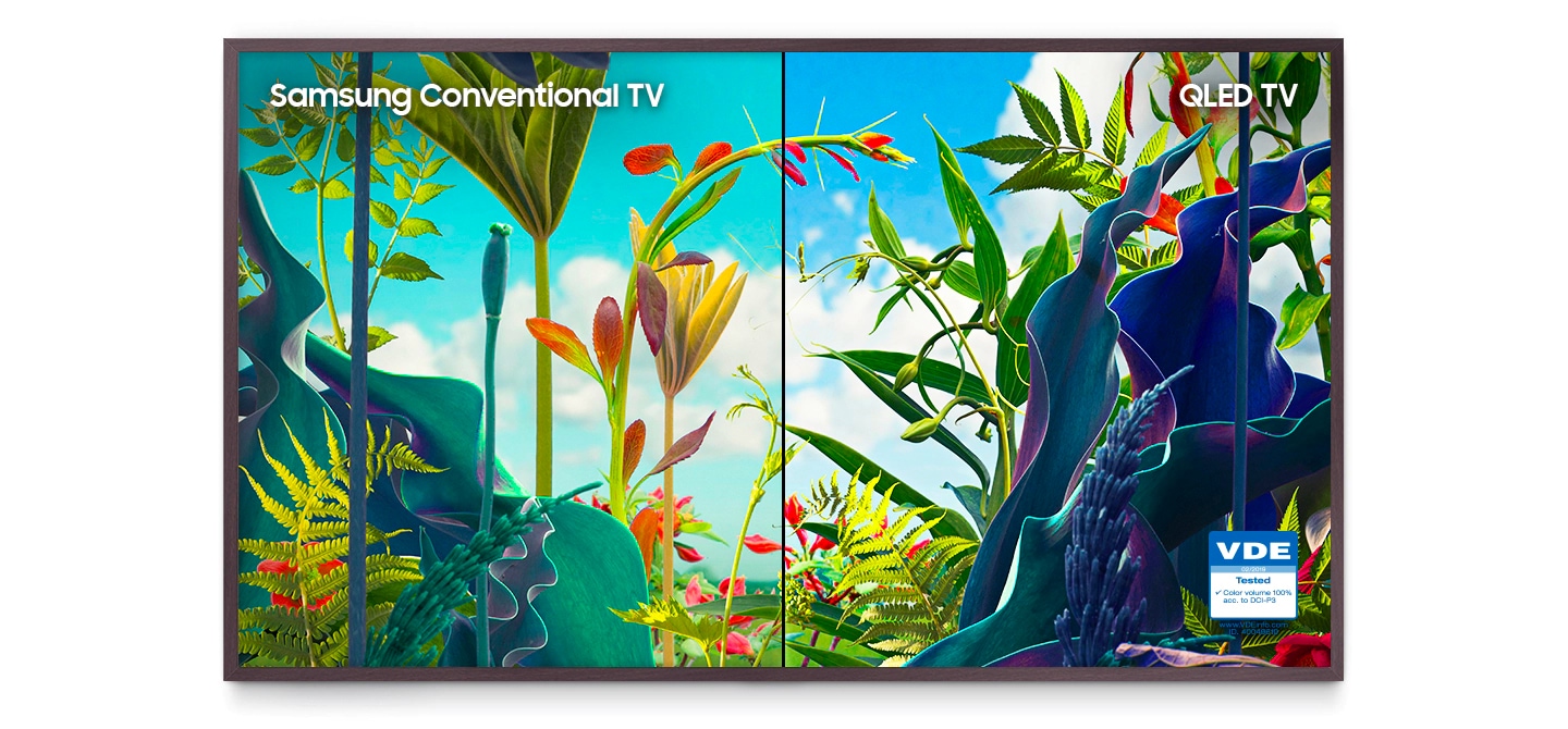 The Frame TV is showing a split-screen comparison of nature artwork. QLED’s high picture quality reveals all the details of each image.