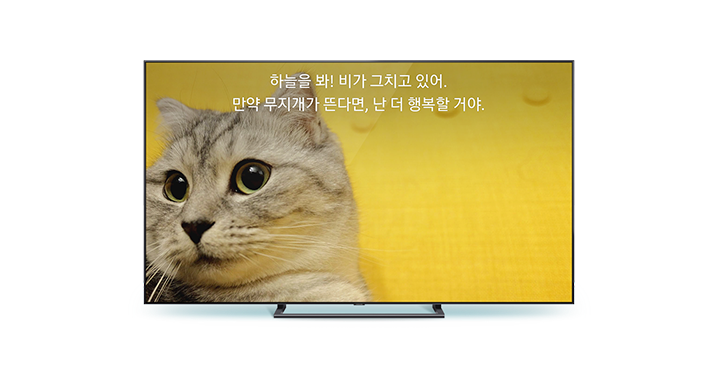 QLED TV에서 자막이 상단에 적용된 화면을 보여주고 있습니다.