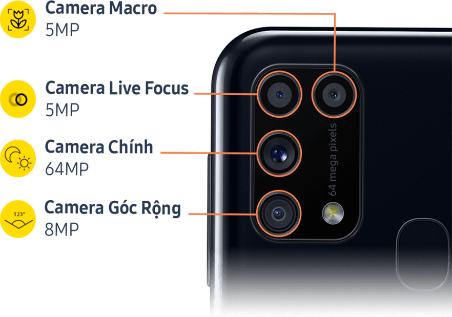 Samsung M31