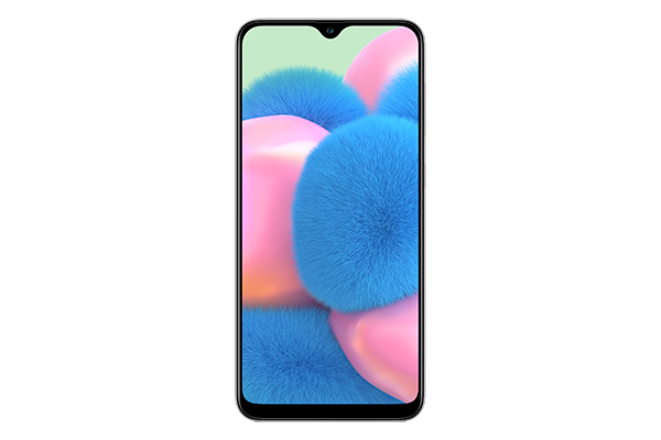 Galaxy A30s SM-A307GZWVXXV