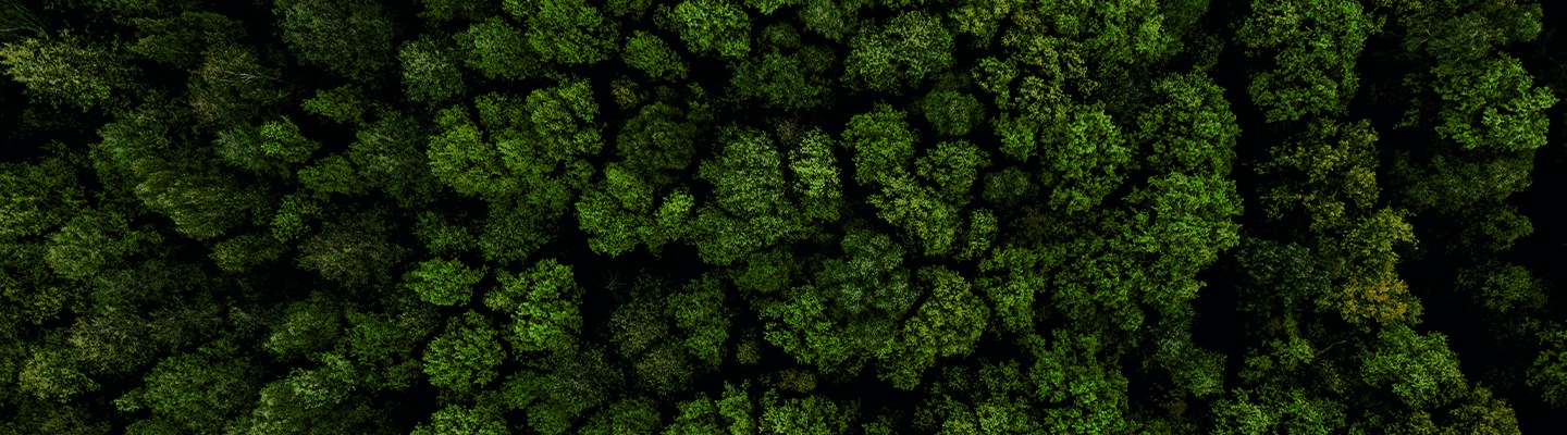A key visual image of Eco-management page