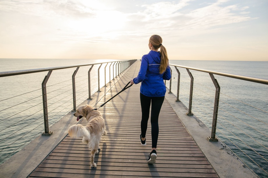 Rearview of a woman walking her dog on a bridge in the morning