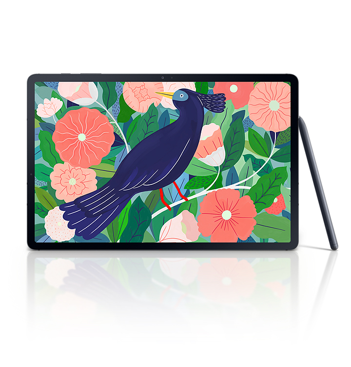 Front view of Galaxy Tab S7+'s large display with a vivid illustration of a bird among leaves and flowers onscreen. An S Pen is propped against the tablet.