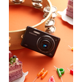 EC-DV100ZHDPPH