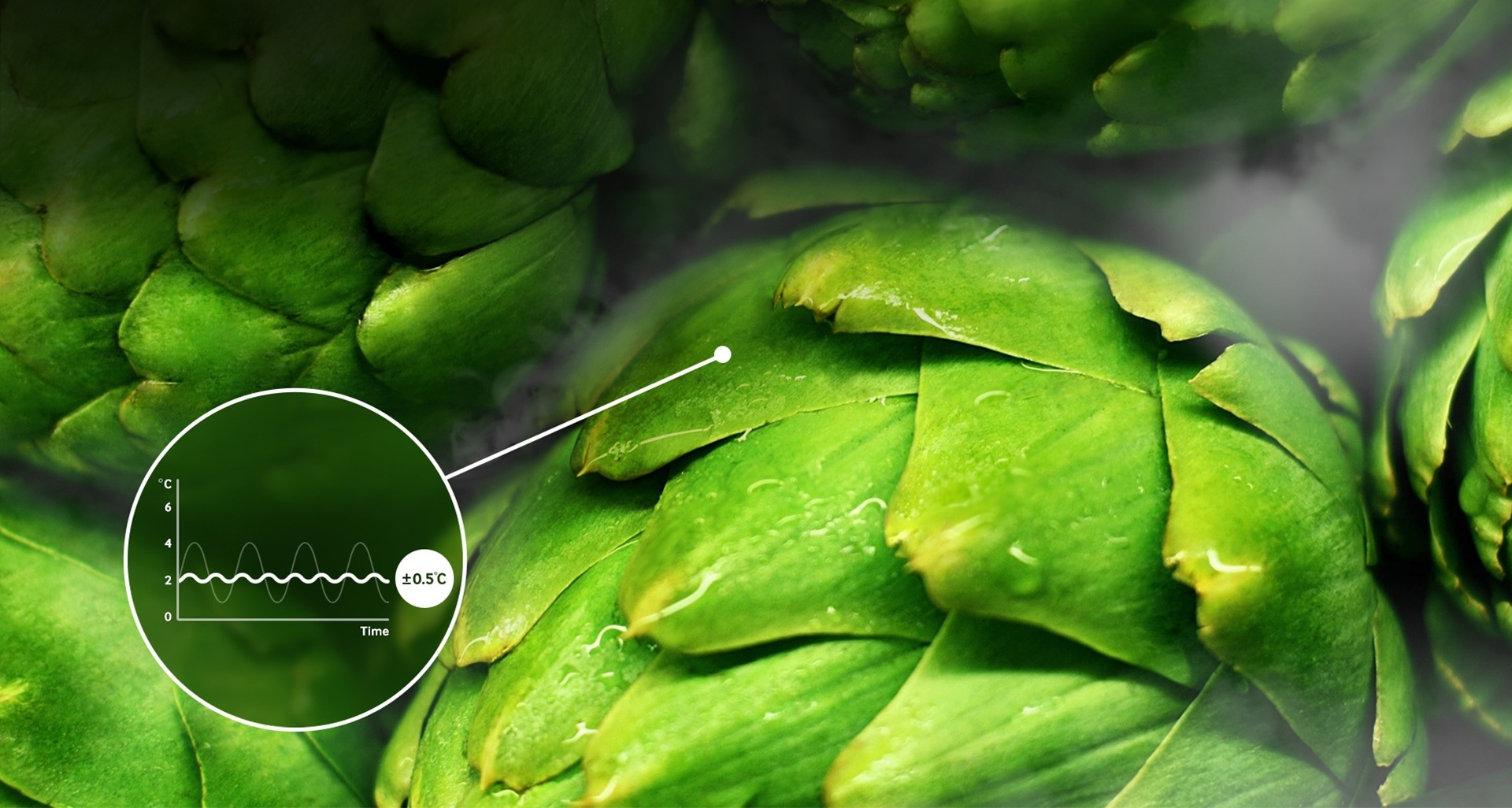 Precyzyjne chłodzenie z myślą o zachowaniu świeżości