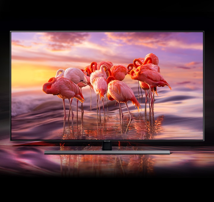 TV 인스크린 화면에 홍학이 나오고 컬러볼륨 100%로 있는 그대로의 색상을 표현하고 있습니다.