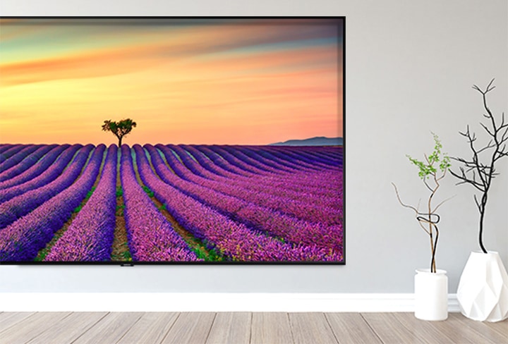 TV안에 자연사진이 들어있습니다.  TV 오른쪽에는 식물들이 놓여있습니다.