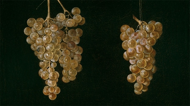 Miguel de Pret (Attributed to), Two Bunches of Grapes with a Fly. Detail (1630-1644)