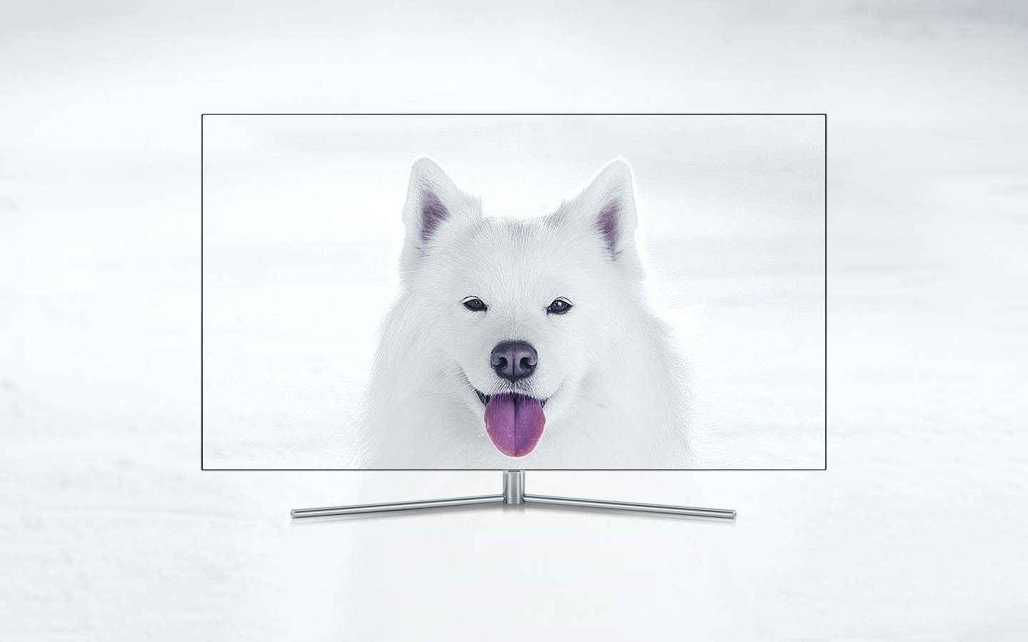 QLED TV 제품이 정면으로 놓여져 있고 화면 안에는 혀를 내밀고 있는 흰색 강아지가 선명하게 보여집니다.