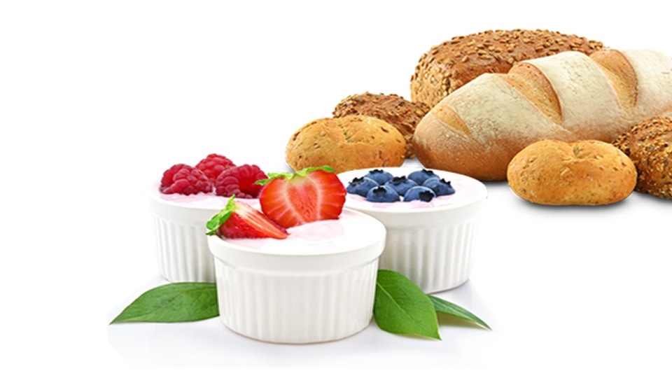 Homemade Dough or Yogurt Anytime