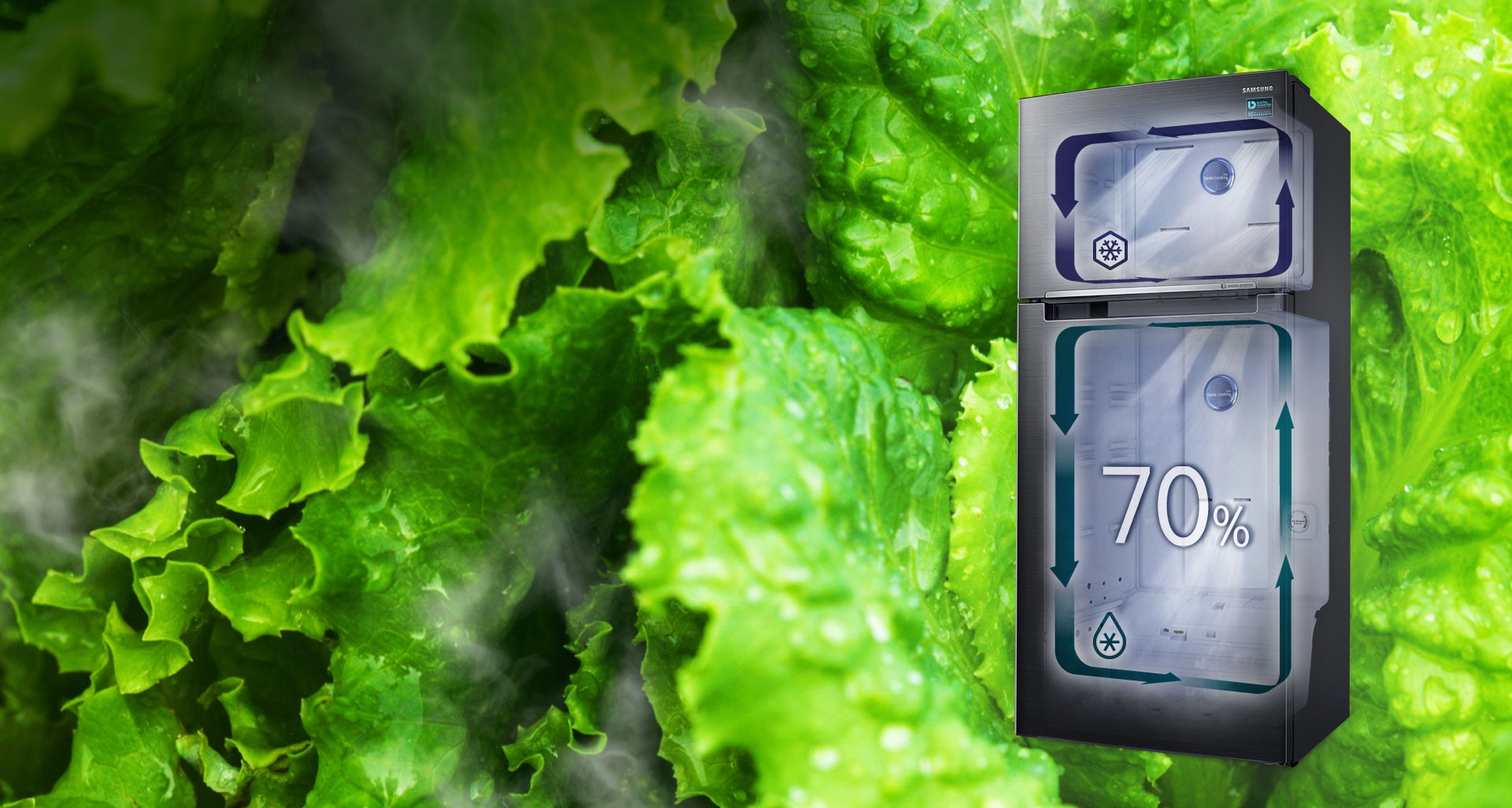 Locks in Moisture, Seals in Freshness