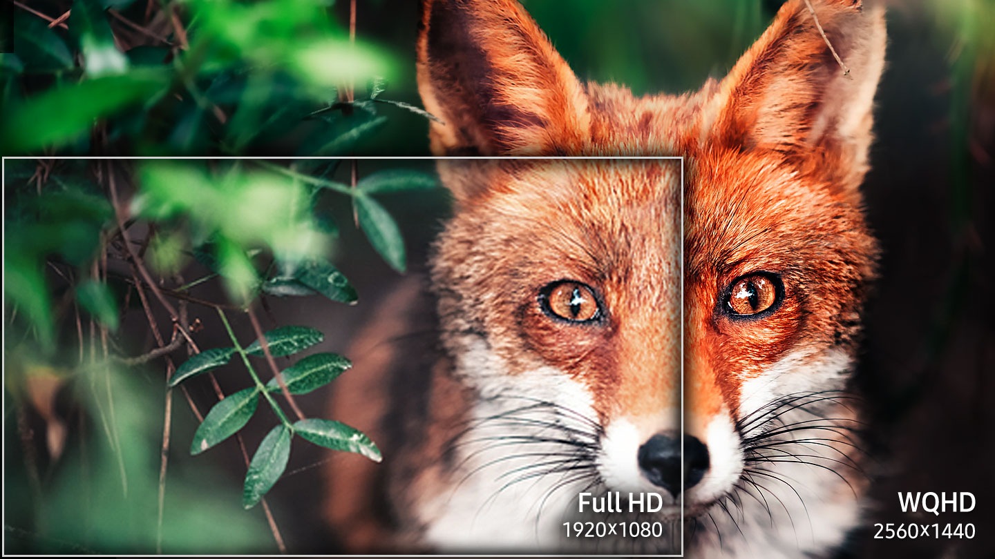 More Detail,   More Space