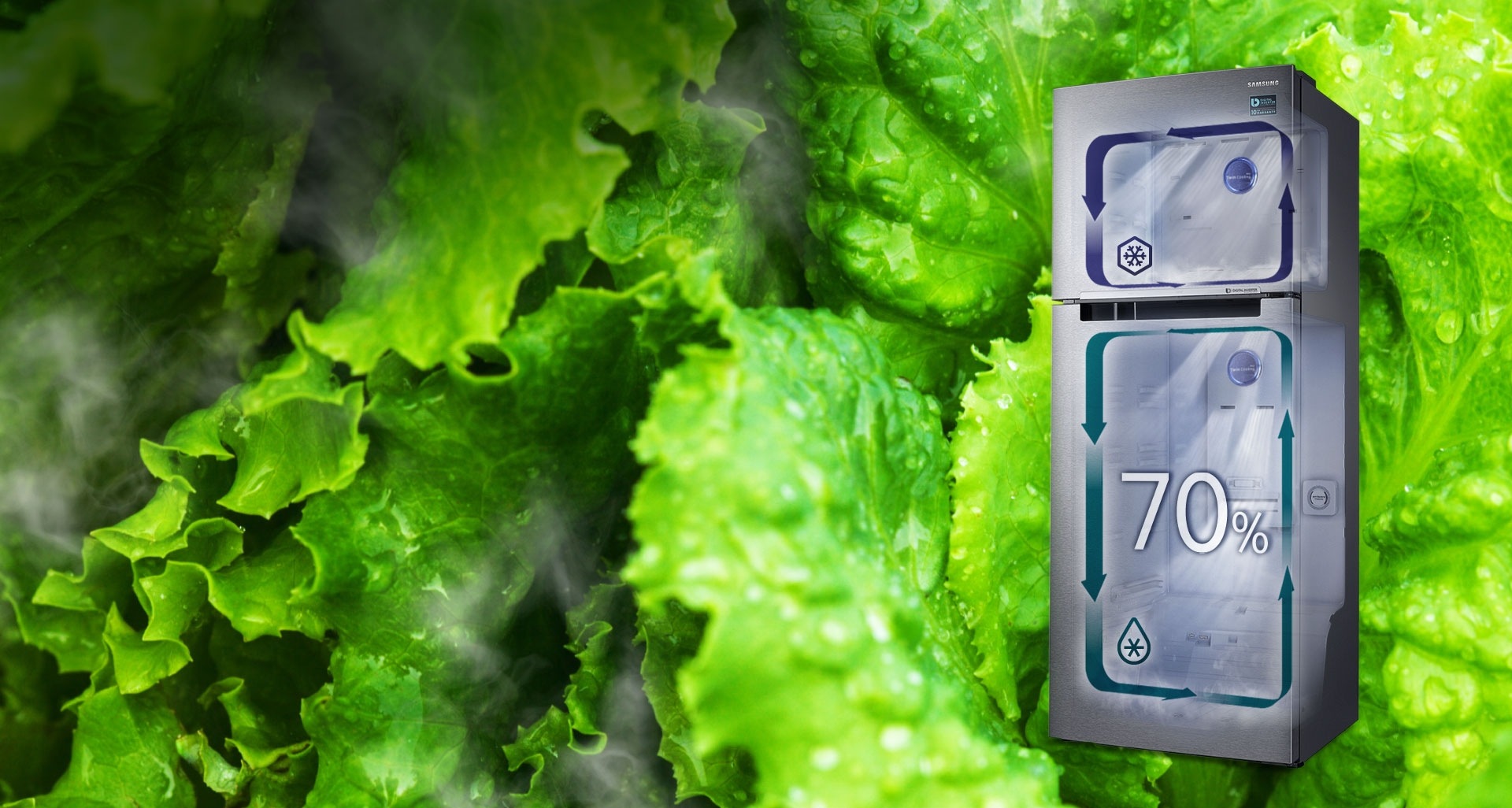 Locks in Moisture, Seals in Freshness
